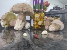 conserva de boletus