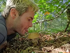 recetas con boletus