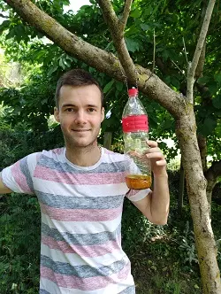 trampa mosca de la fruta