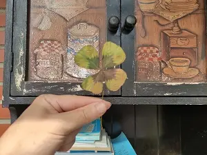 Oxalis Tetraphylla seco